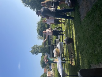 IMG_2549.jpeg